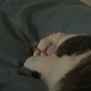 Meet your Posher, Kyle